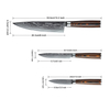 Damascus Knife Set 3PCS Professional VG-10 67 Layers Damascus Knife Set